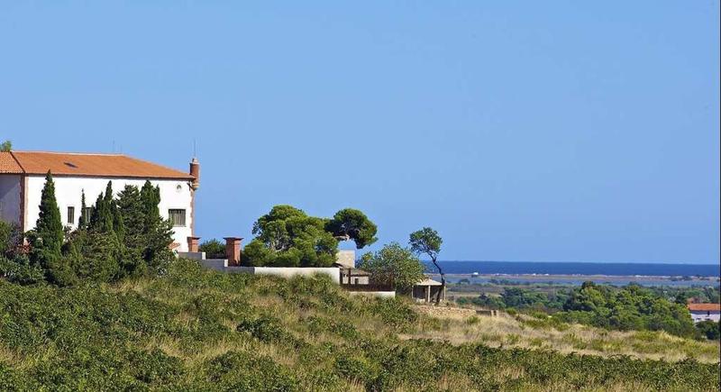 Château - 1 497 m² - 67 pièces