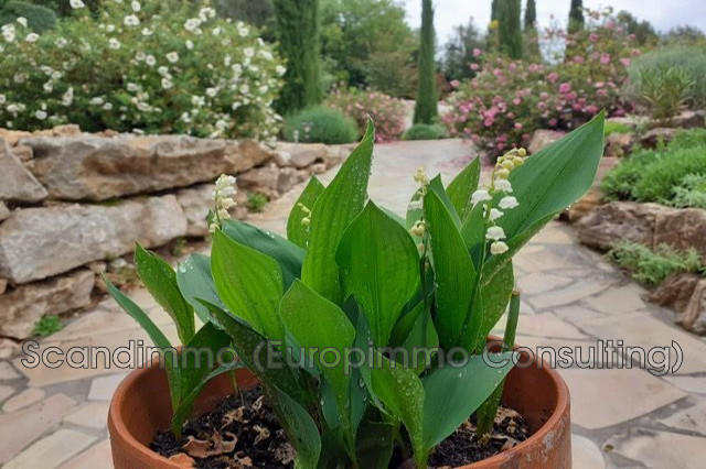 Maison - 145 m² - 5 pièces