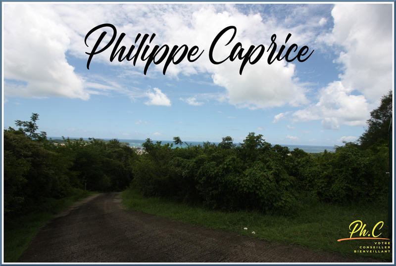 Terrain - 43 000 m²