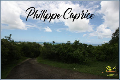 Terrain - 43 000 m²