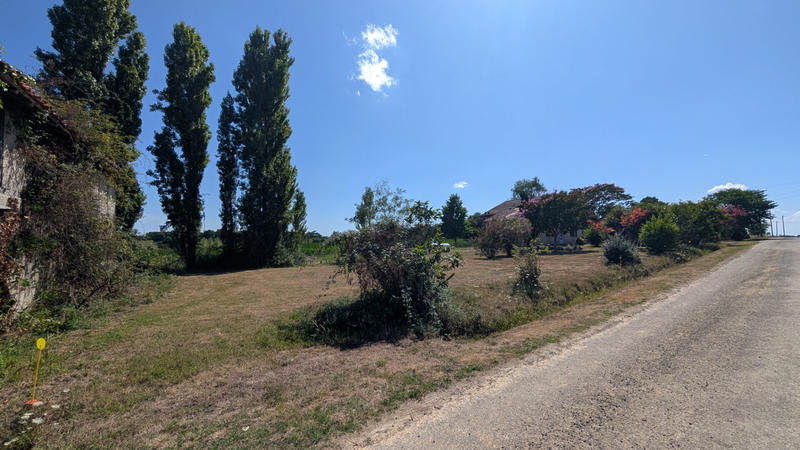 Terrain - 926 m²