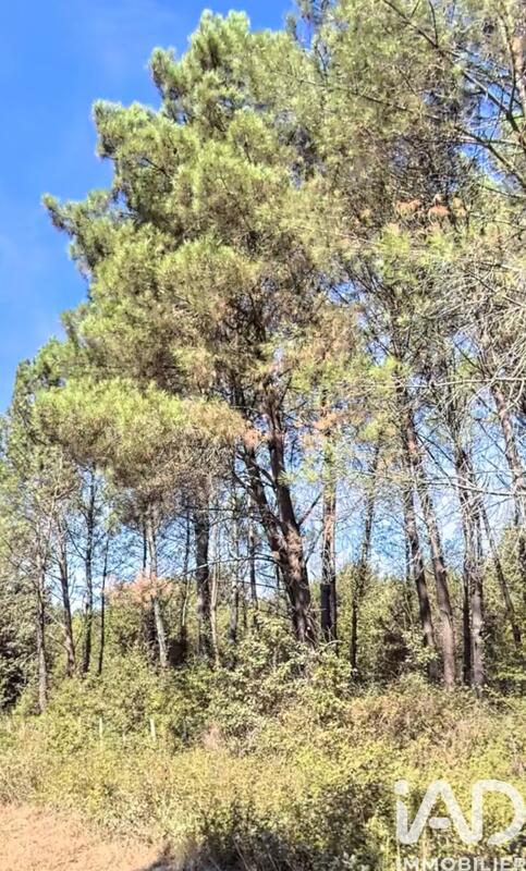 Terrain - 270 000 m²