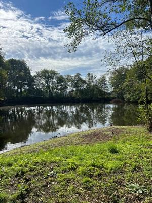 Propriété - 8 200 m² - 1 pièce