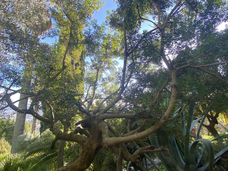 Maison - 322 m² - 10 pièces