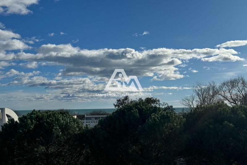 Appartement - 76 m² - 3 pièces