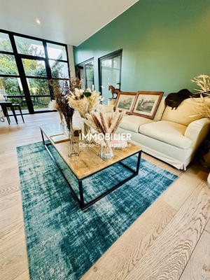 Maison - 332 m² - 11 pièces