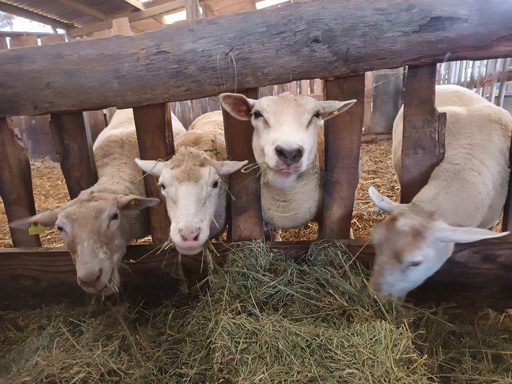 La Ferme de Brul'han