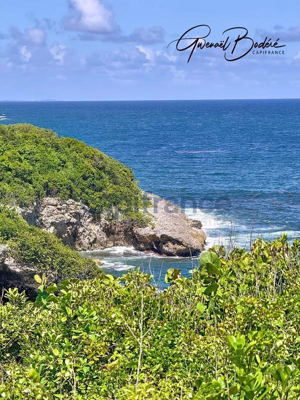 Villa - 226 m² - 6 pièces