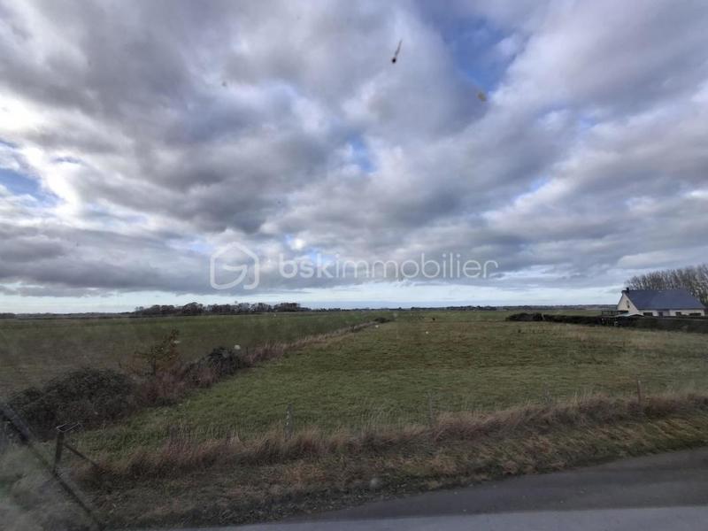 Maison - 116 m² - 5 pièces