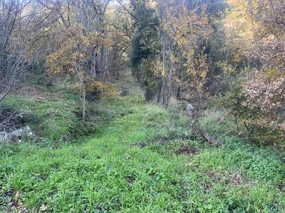 Terrain constructible - 2 000 m²