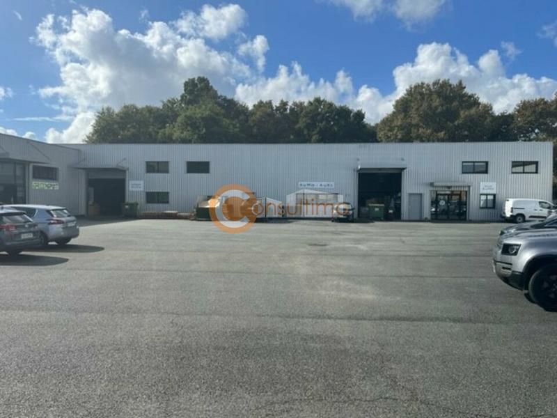Local d'activité / Entrepôt - 1 700 m²
