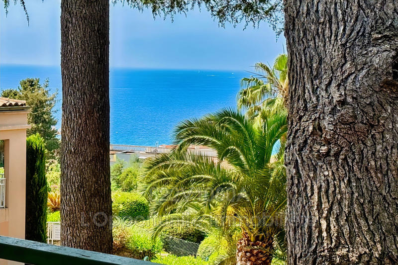 Appartement - 31 m² - 2 pièces