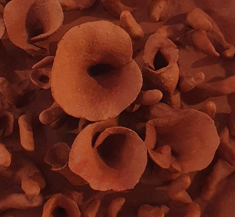 Journées des Métiers d'Art : exposition Terre à Cœurs - Cécile Laissus