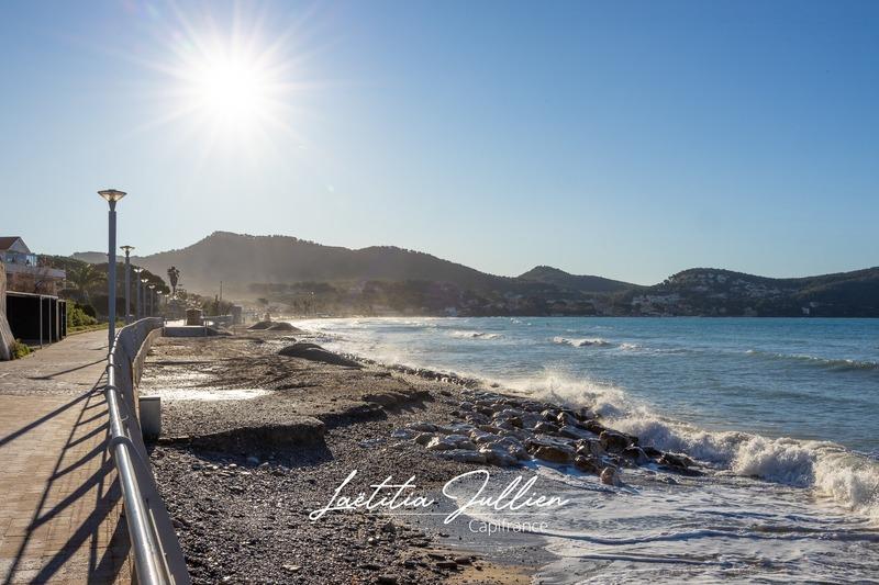 Appartement - 31 m² - 1 pièce