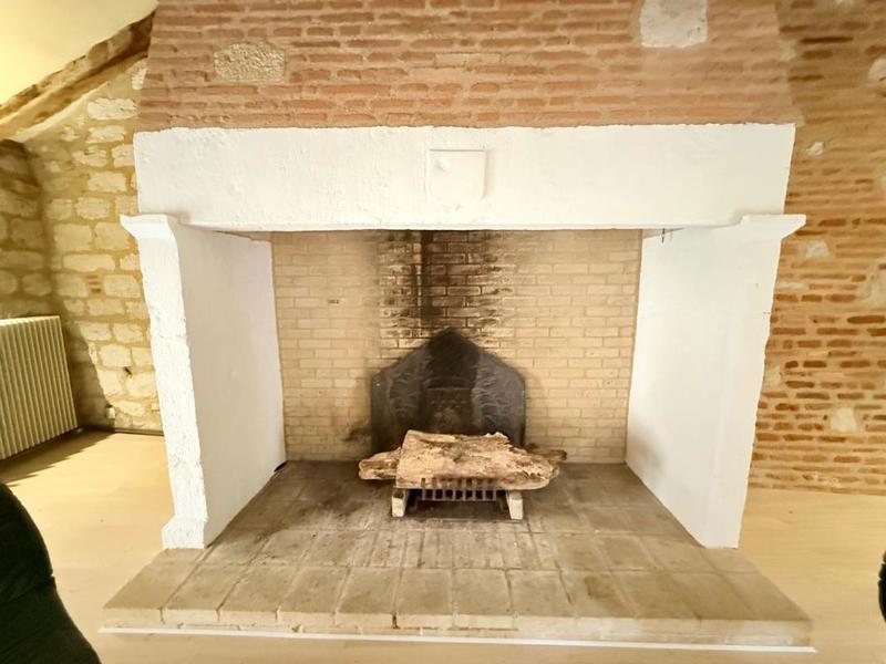 Hôtel particulier - 381 m² - 7 pièces