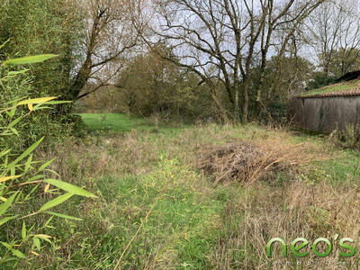 Maison ancienne - 168 m² - 3 pièces