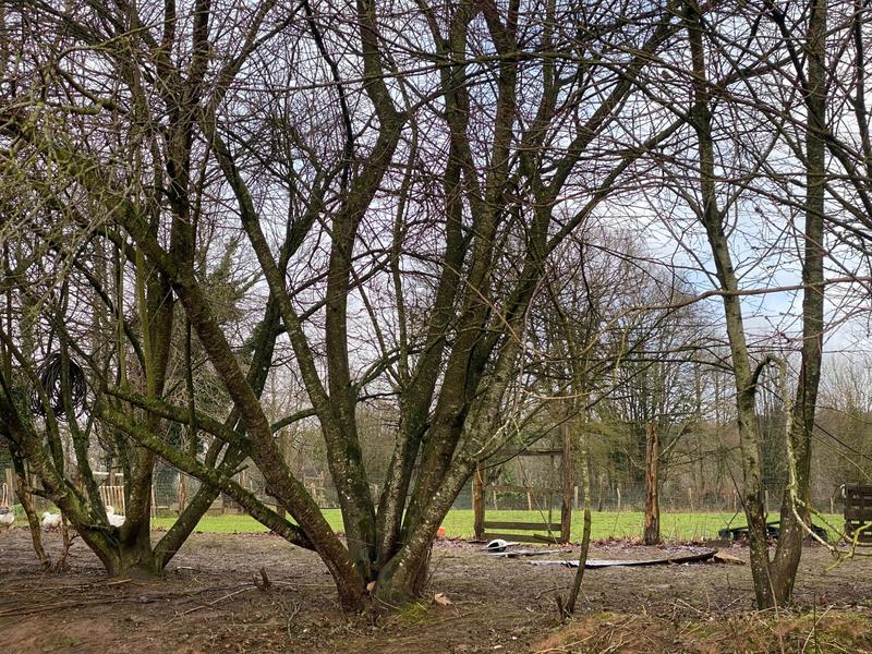 Maison - 42 m² - 2 pièces