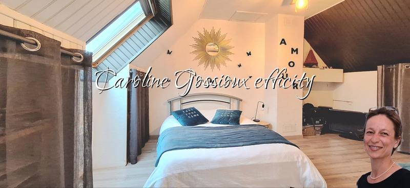 Pavillon - 220 m² - 12 pièces