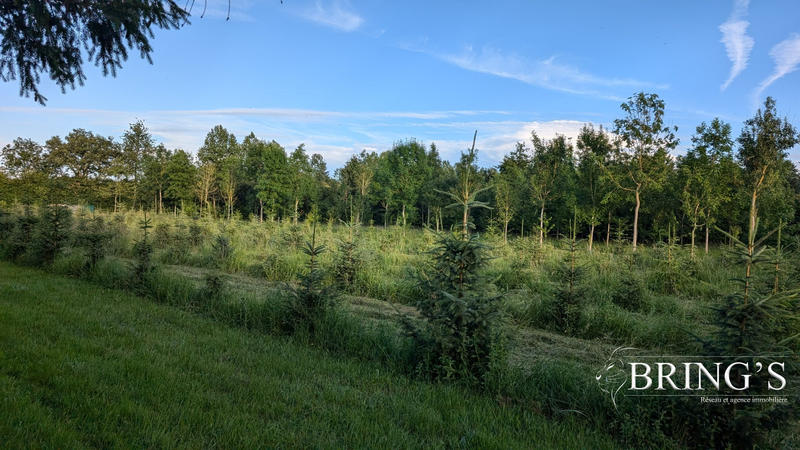 Terrain de loisirs - 47 800 m²