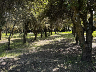 Villa - 116 m² - 5 pièces