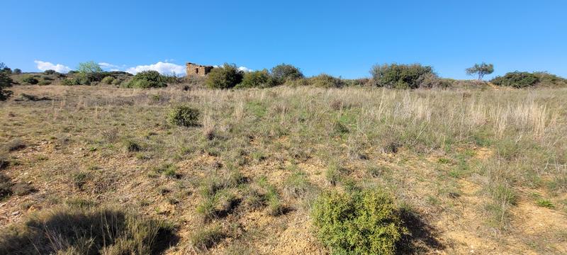 Terrain agricole - 4 870 m²