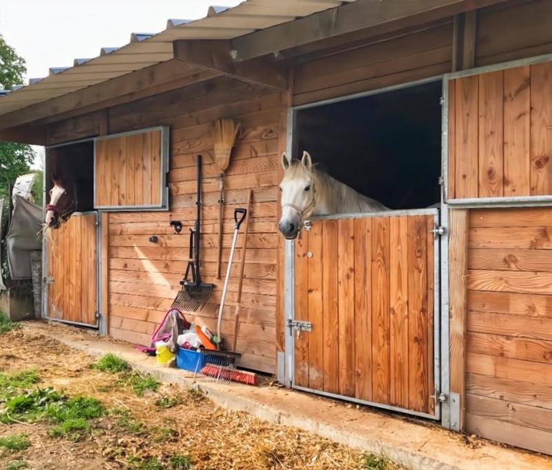 Maison de domaine équestre - 220 m² - 8 pièces