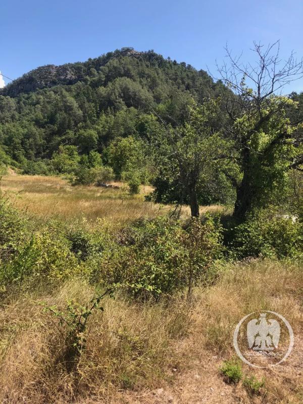 Terrain - 73 209 m²