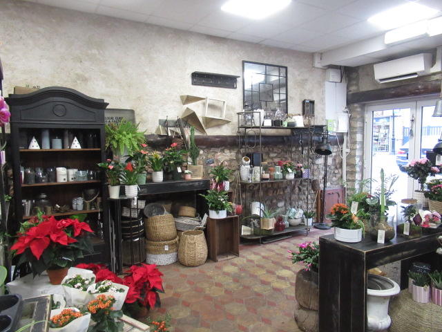 Appartement - 55 m² - 2 pièces