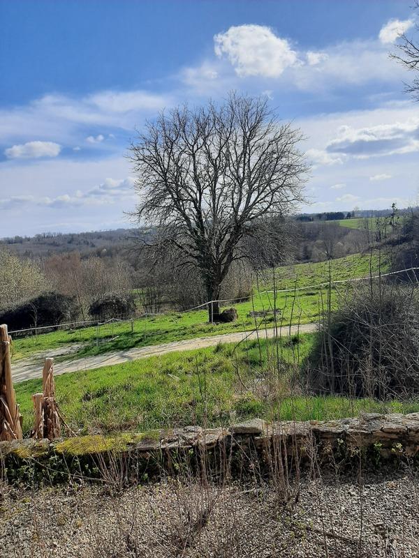 Longère - 138 m² - 11 pièces