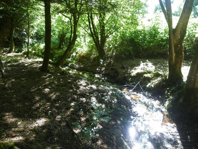 Propriété - 227 m²