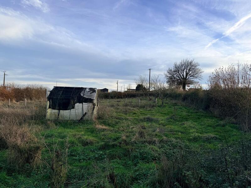 Terrain agricole - 6 045 m²