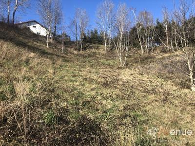 Terrain - 1 246 m²