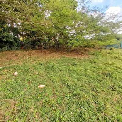 Terrain constructible - 968 m²