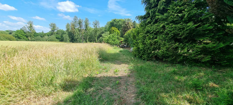Terrain - 1 900 m²