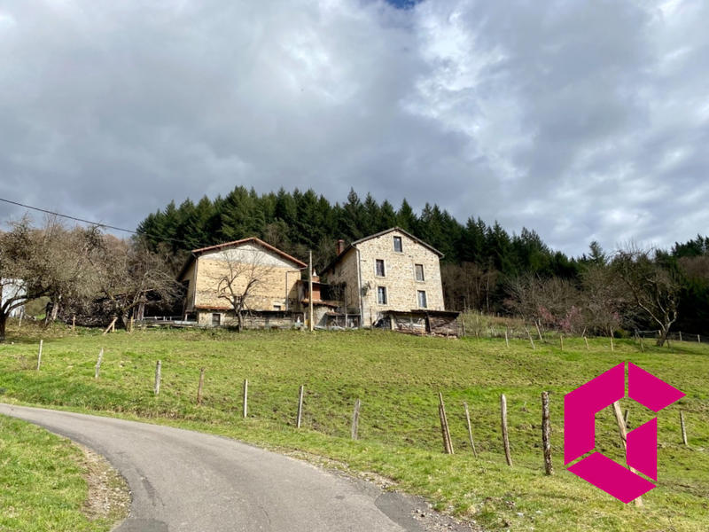 Ferme - 113 m² - 5 pièces