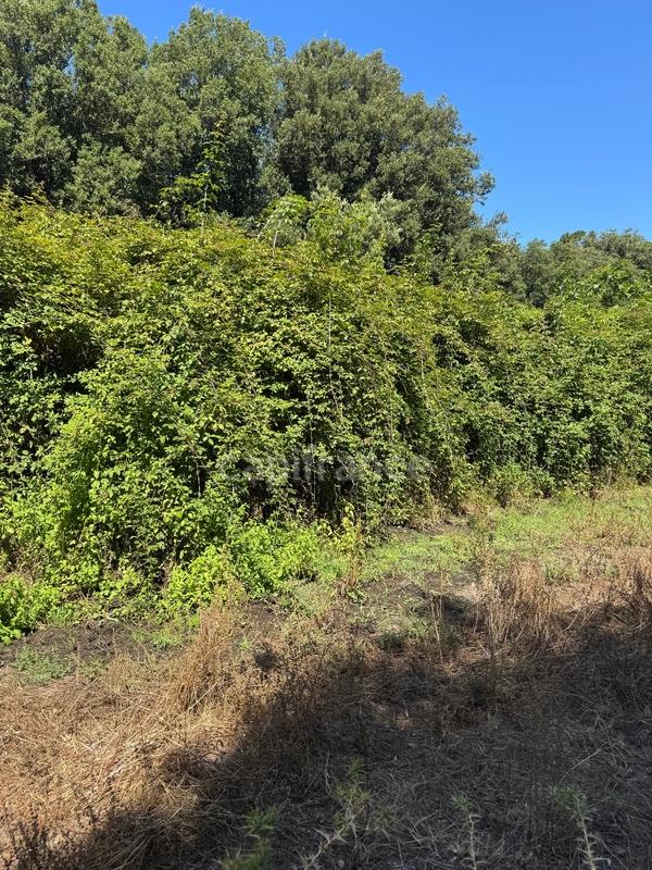 Terrain constructible - 3 380 m²