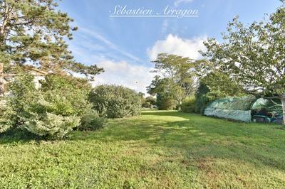 Maison - 229 m² - 8 pièces