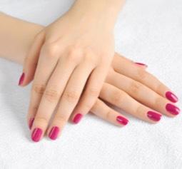 Atelier du Regard Mb