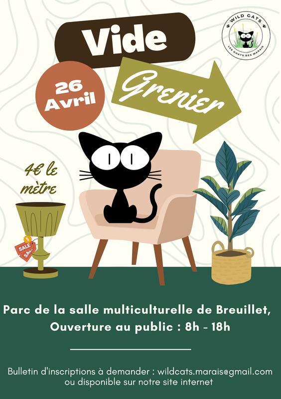 Vide grenier des wild cats