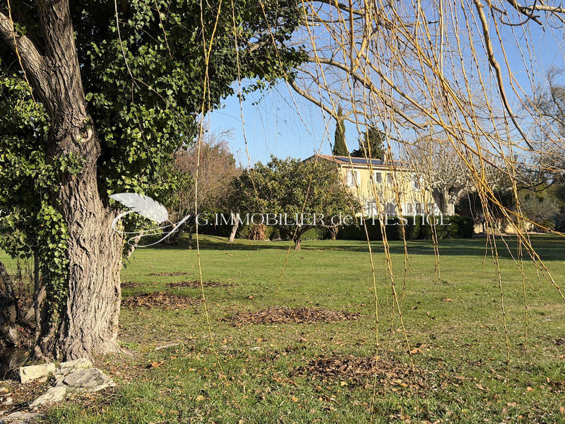 Propriété - 275 m² - 9 pièces