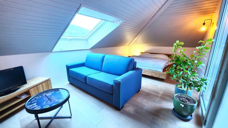 Villa - 297 m² - 6 pièces