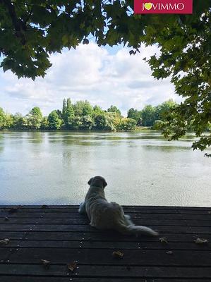 Maison - 387 m² - 12 pièces