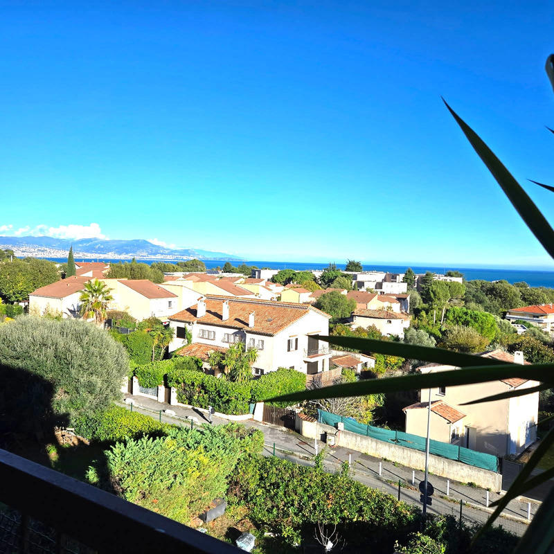 Studio - 24 m² - 1 pièce