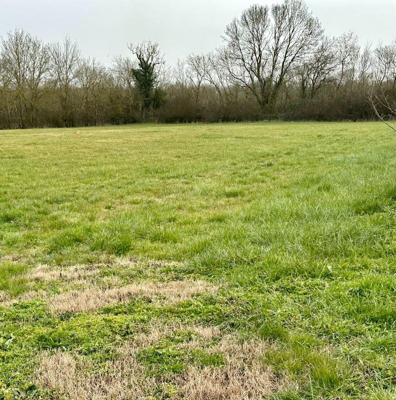 Terrain constructible - 966 m²