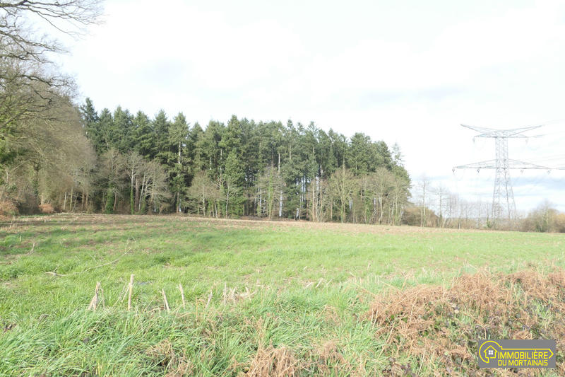 Maison ancienne - 34 m² - 1 pièce