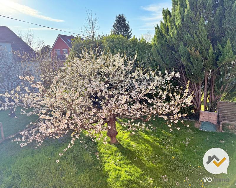 Maison ancienne - 110 m² - 5 pièces