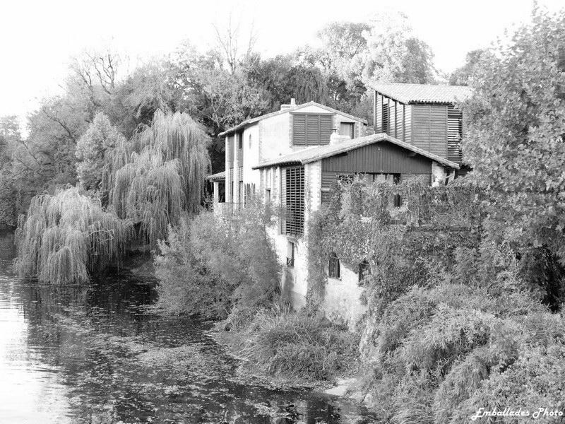 Balade photo "Spécial noir et blanc"
