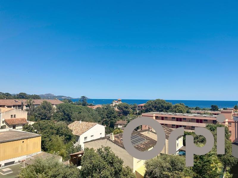 Appartement - 34 m² - 2 pièces