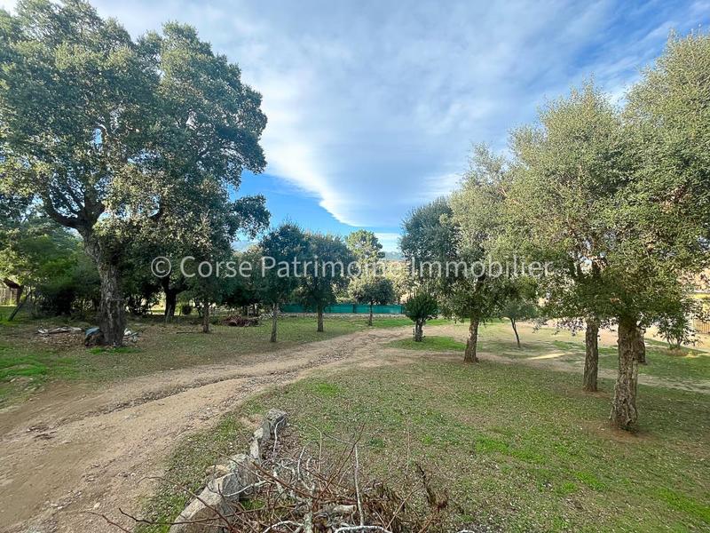 Terrain de loisirs - 1 020 m²