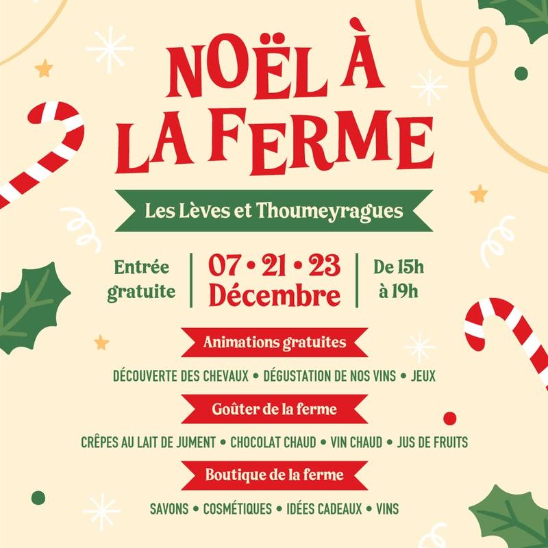 Noël à la Ferme des Mauberts